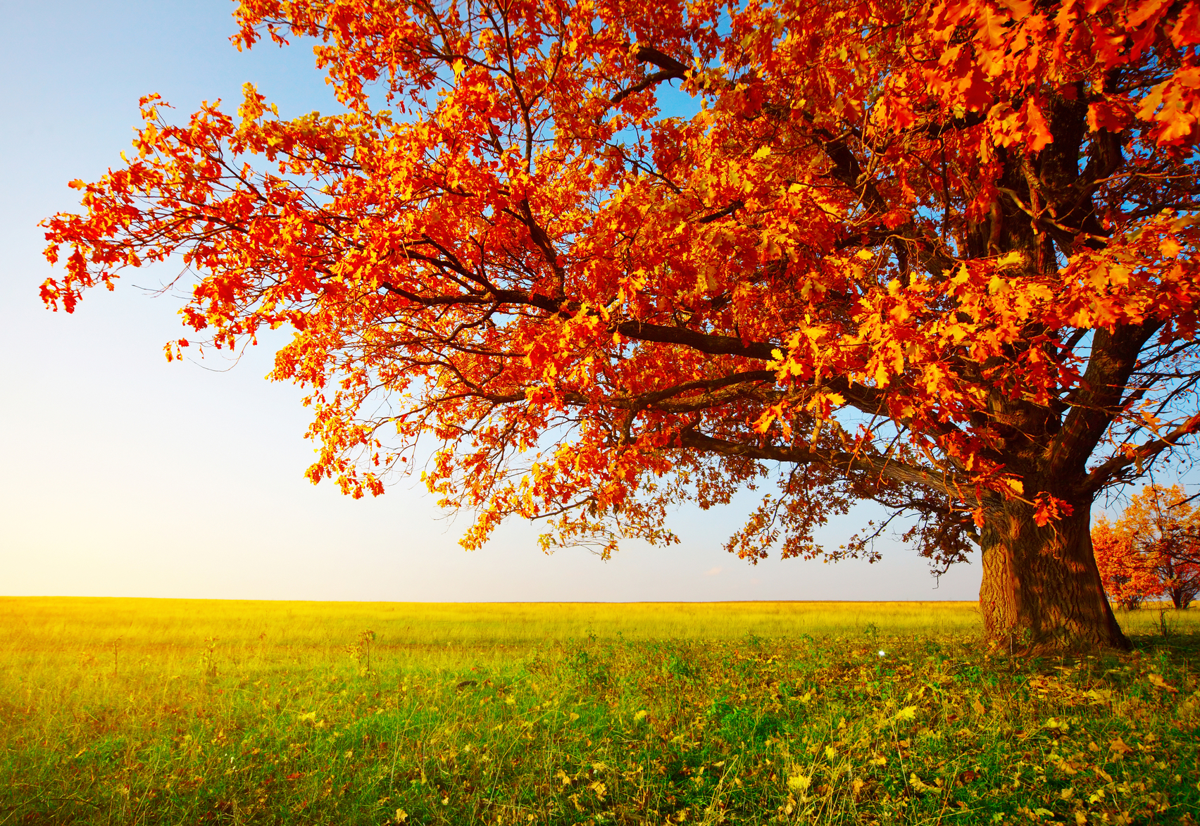 autumn9