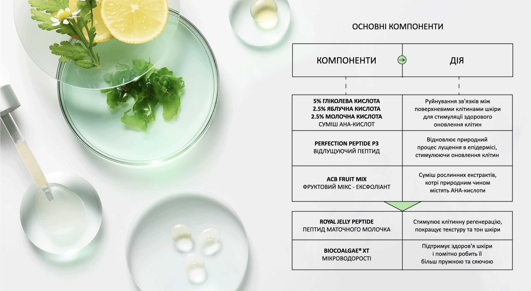 osnovni komponenti 1